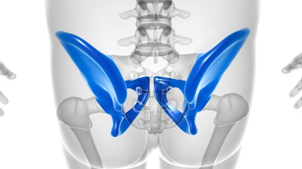 anterior retroperitoneal approach